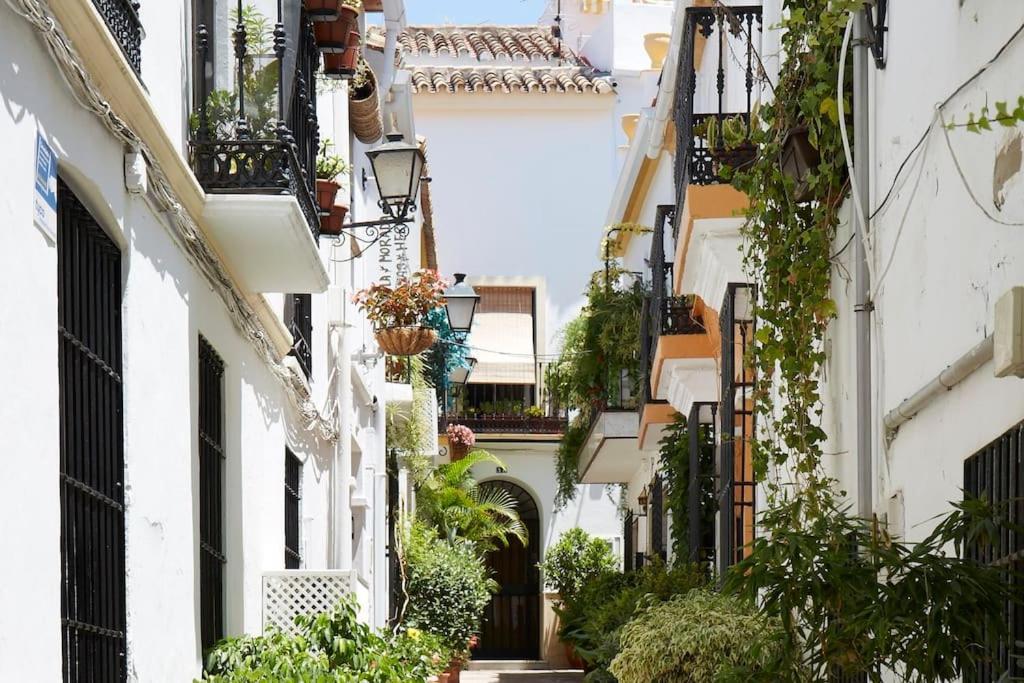 Apartamento Old Town With Rooftop Terrace Rdr410